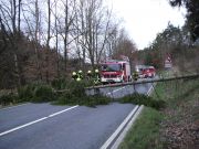 Baum über Straße